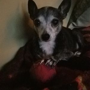 Meet your Posher, Michelle